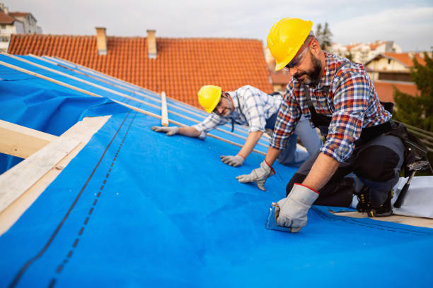 Best Roof Leak Repair  in Borden, IN