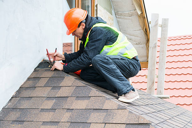 Best Metal Roofing Contractor  in Borden, IN
